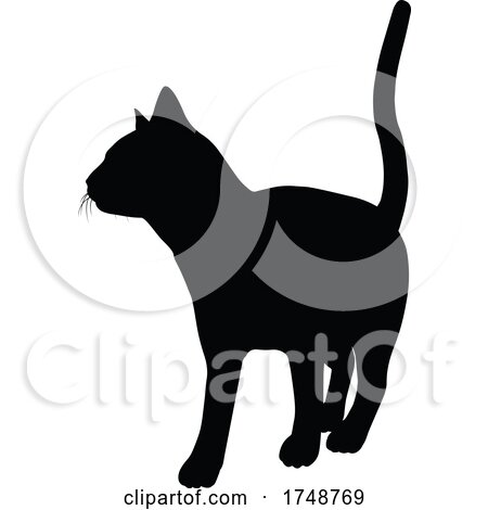 Silhouette Cat Pet Animal by AtStockIllustration
