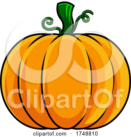 Cartoon Pumpkin by Hit Toon