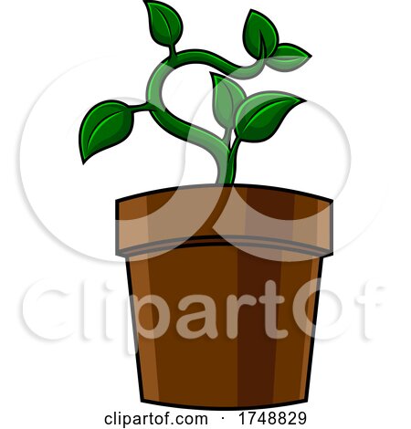 Cartoon Potted Plant by Hit Toon