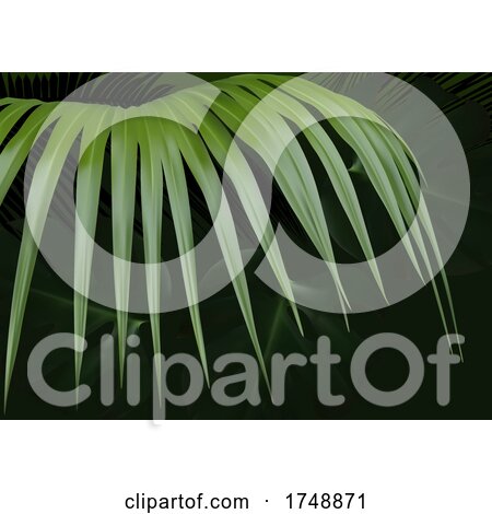 Background of a Palm Branch by dero