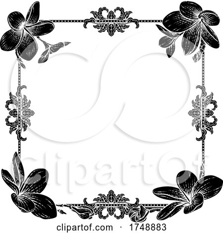 Plumeria Frangipani Tropical Flower Funeral Invite by AtStockIllustration