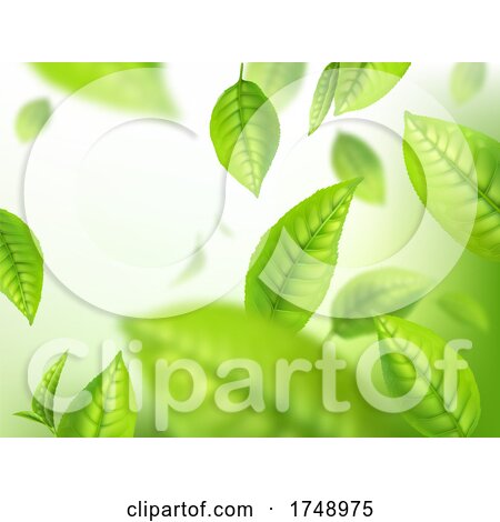 Green Tea Leaf Background by Vector Tradition SM