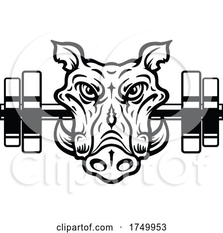 Black and White Boar Gym Mascot by Vector Tradition SM