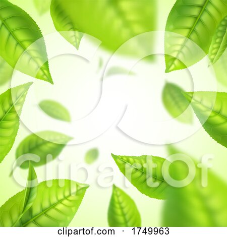 Green Tea Leaf Background by Vector Tradition SM