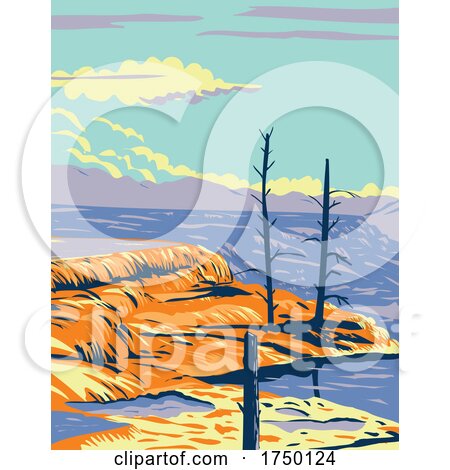Mammoth Hot Springs a Large Complex of Hot Springs on a Hill of Travertine in Yellowstone National Park Teton County Wyoming USA WPA Poster Art by patrimonio
