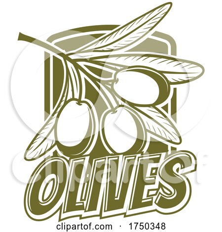 Olives by Vector Tradition SM