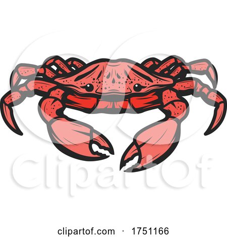 Crab by Vector Tradition SM