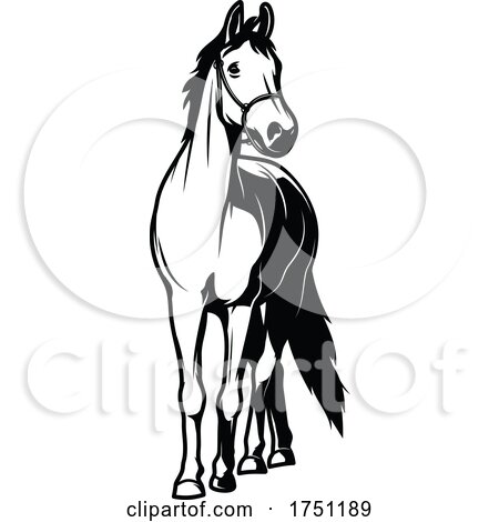 Horse by Vector Tradition SM