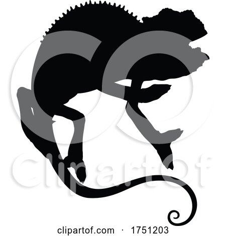 Silhouetted Chameleon by Vector Tradition SM