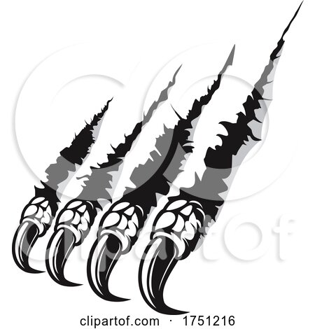 Talons Shredding by Vector Tradition SM