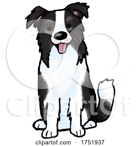 Cute Sitting Border Collie Dog by Maria Bell