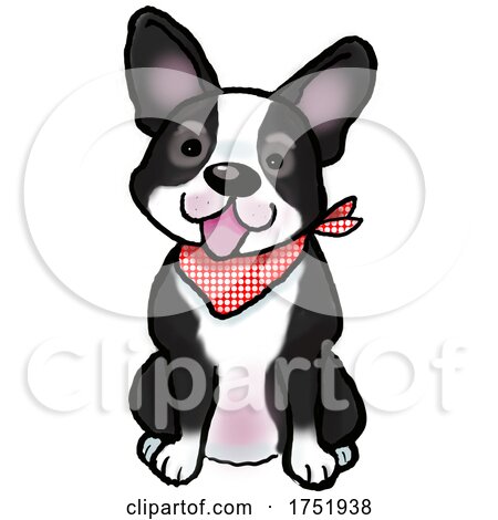 Cute Sitting Boston Terrier Dog by Maria Bell