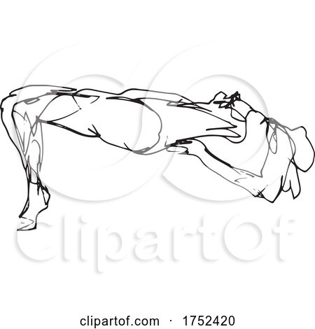 Nude Female Human Figure Posing Reclining or Lying down Doodle Art Continuous Line Drawing by patrimonio