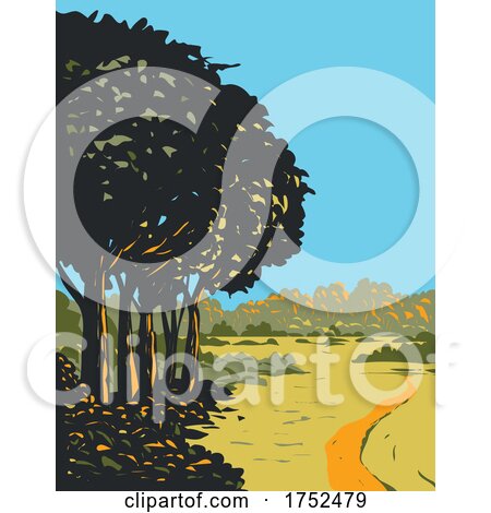 Heathland and Forest Trails in New Forest Located Within New Forest National Park in Southern England UK Art Deco WPA Poster Art by patrimonio