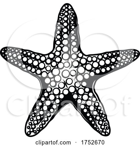 Starfish by Vector Tradition SM