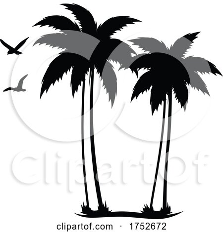 Palm Trees and Seagulls by Vector Tradition SM