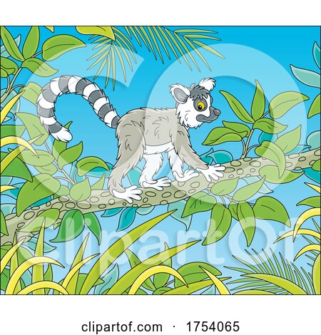 Lemur in a Tree by Alex Bannykh
