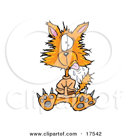 Royalty-free Clip Art: Crazy Orange Cat In A Straight Jacket by Spanky Art