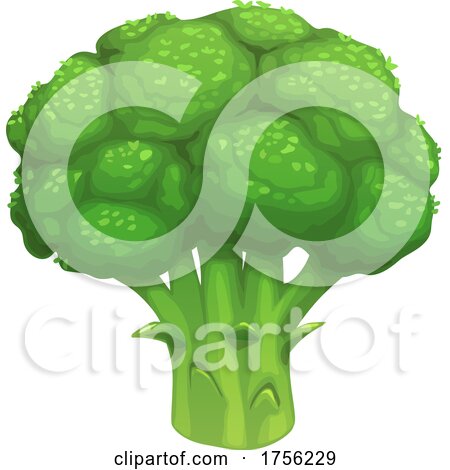 Broccoli by Vector Tradition SM