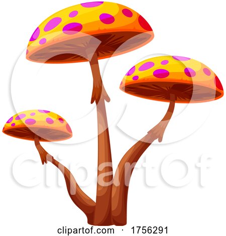 Mushrooms by Vector Tradition SM
