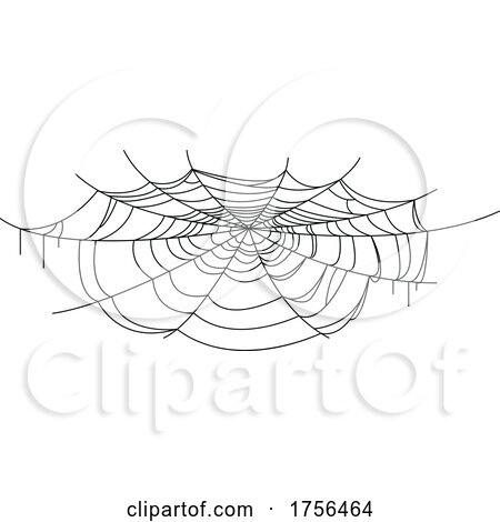 Spider Web by Vector Tradition SM