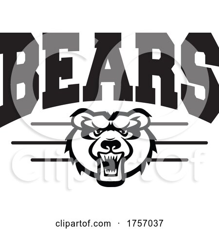 Bears Mascot Design with a Face Below Text by Johnny Sajem