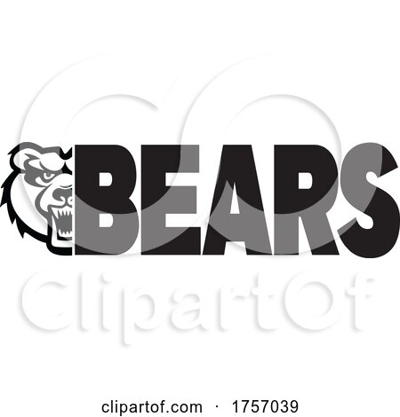 Bears Mascot Design with a Face and Text by Johnny Sajem