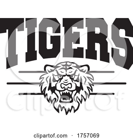 Tiger Mascot Design with a Head Under Text by Johnny Sajem