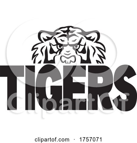 Tiger Mascot Design with a Head over Text by Johnny Sajem
