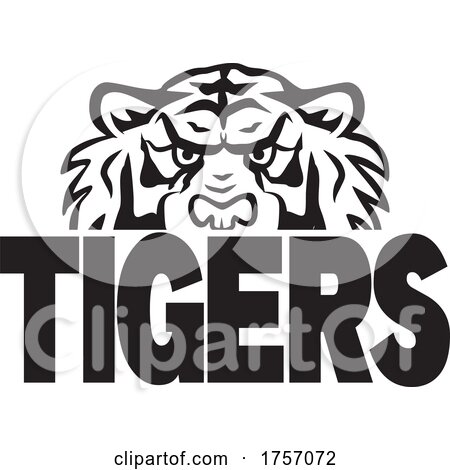 Tiger Mascot Design with a Face over Text by Johnny Sajem