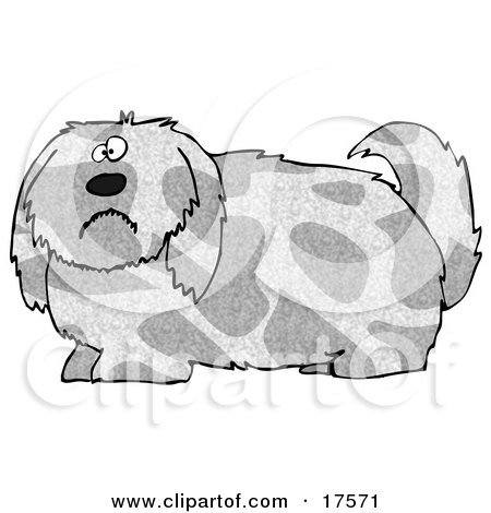 Clipart Illustration of a Spotted Gray And Tan Dog With Long Shaggy Hair, Looking At The Viewer With A Sad Or Confused Expression by djart