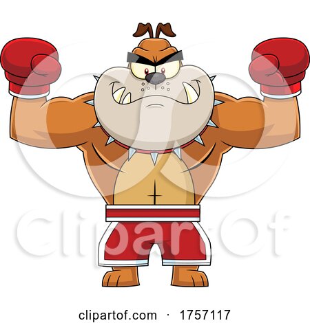 Cartoon Muscular Bulldog Boxer by Hit Toon