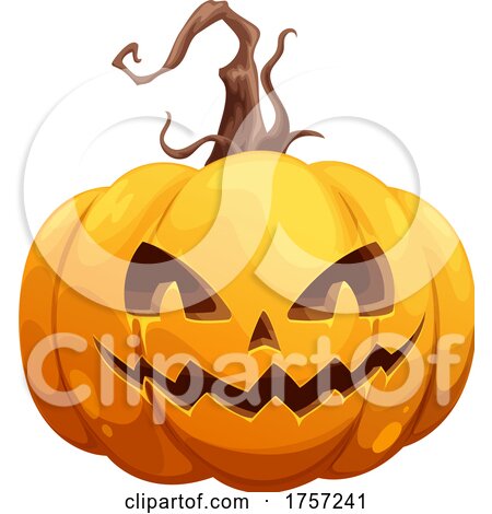 Carved Halloween Jackolantern Pumpkin by Vector Tradition SM