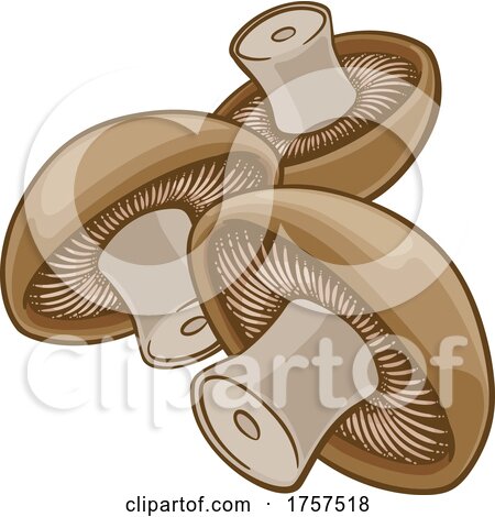 Mushroom Vegetable Cartoon Illustration by AtStockIllustration