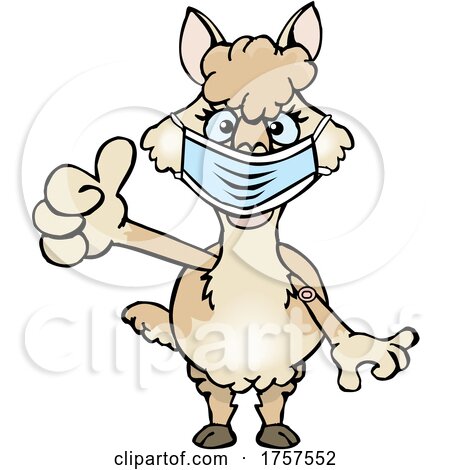 Cartoon Masked and Vaccinated Alpaca Mascot by Dennis Holmes Designs