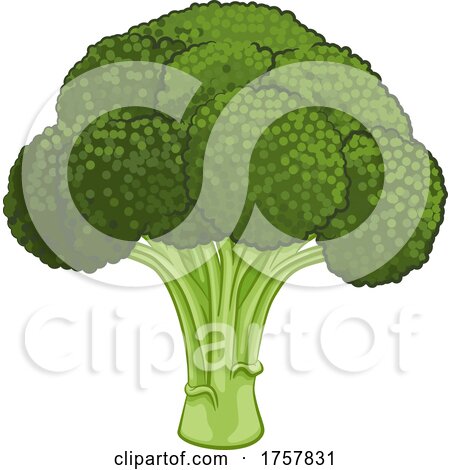 Broccoli Vegetable Cartoon Food Drawing by AtStockIllustration