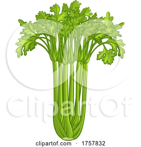 Celery Vegetable Cartoon Illustration by AtStockIllustration