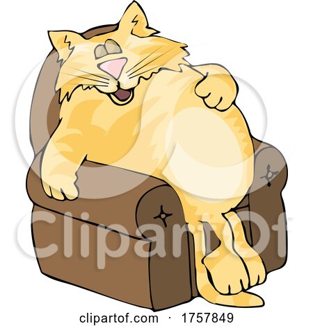 Lazy Fat Orange Cat Sleeping in a Chair by djart