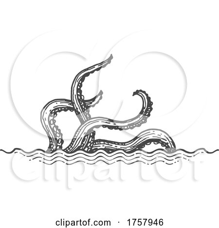 Sea Monster or Octopus Tentacles by Vector Tradition SM