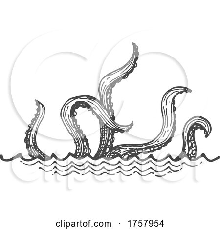Sea Monster or Octopus Tentacles by Vector Tradition SM