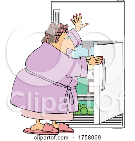 Cartoon Woman in a Robe and Curlers Getting a Midnight Snack or Cooling off at the Fridge by djart