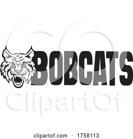 Bobcat Mascot Next to BOBCATS Text by Johnny Sajem