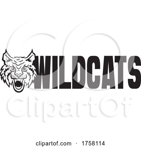 Cat Mascot Beside WILDCATS Text by Johnny Sajem