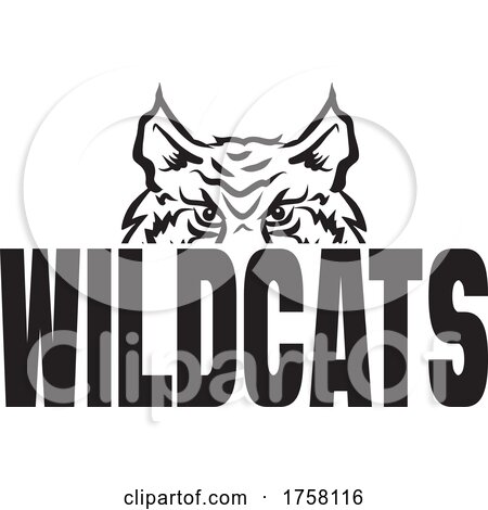 Cat Mascot over WILDCATS Text by Johnny Sajem