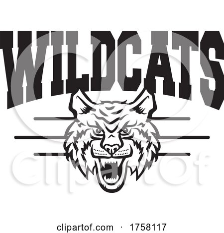 Cat Mascot Under WILDCATS Text by Johnny Sajem