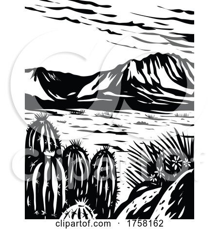 Chihuahuan Desert in Big Bend National Park West Texas USA Mexico Border WPA Woodcut Black and White Art by patrimonio