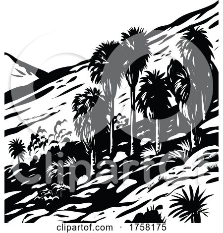 Fortynine Palms Oasis Trail in Joshua Tree National Park California USA WPA Woodcut Black and White Art by patrimonio
