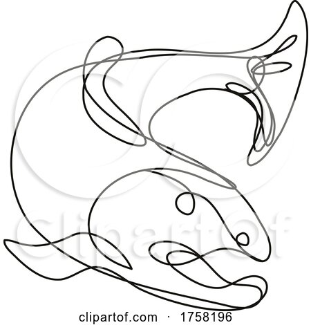 Lake Trout Jumping down Continuous Line Drawing by patrimonio