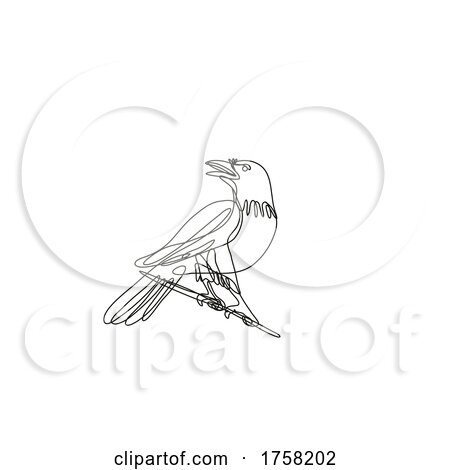 Common Raven Perching on Branch Continuous Line Drawing by patrimonio
