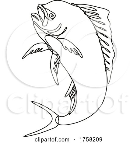 Dorado Dolphin Fish or Mahi Mahi Jumping up Continuous Line Drawing by patrimonio